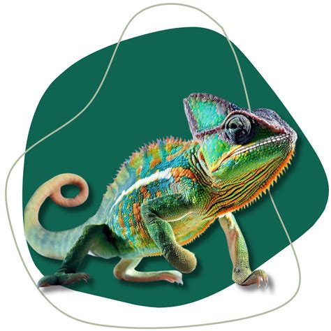 Contact Us - Animal Shows 4 Kids