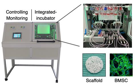 Image result for Tissue Engineering Bioreactor