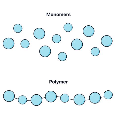 Monomers and polymers - AQA A-Level Biology