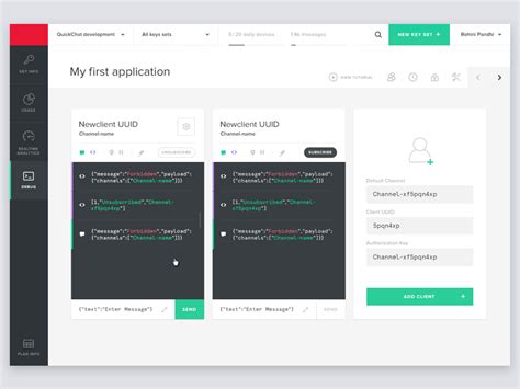 Debug Console 的图像结果