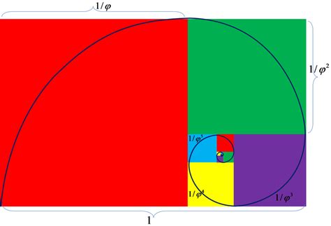 Golden Ratio PNG, Golden Ratio Transparent Images - Free Transparent ...