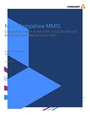Fillable Online New Hampshire MMIS Health Enterprise Portal - NH.gov ...