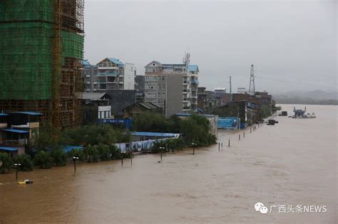 今年第4次进水，柳州水上派出所再次“名副其实”！|洪水|柳州|抗旱_新浪新闻