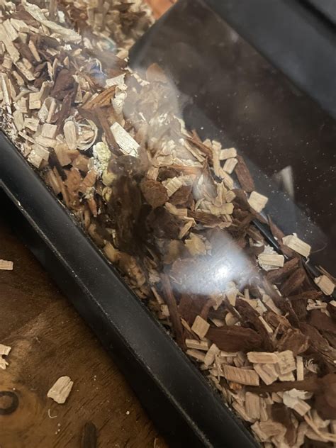 I found this liquid poop smells bad is there any reason it could poop ...