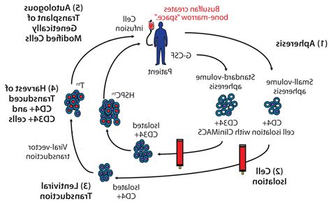 Assembly Manufacturing Vector 的图像结果
