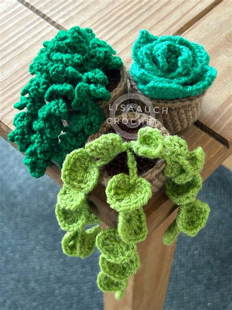 3 Mini Crochet Succulent Patterns FREE! Crochet Hanging Vines Hearts ...