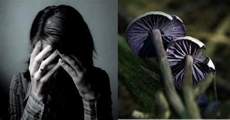 Made From Magic Mushrooms, Most Effective Drug Against Depression ...