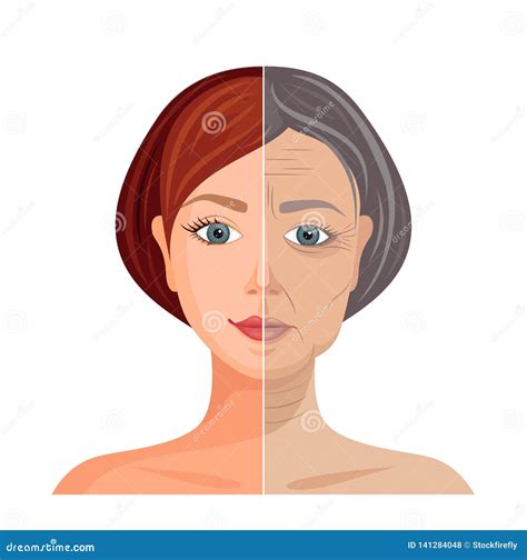 Aging Process Cartoon 的图像结果