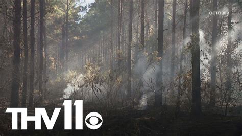 Arkansas counties with burn bans currently | thv11.com