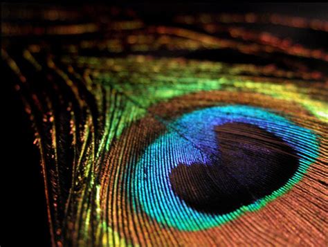 Image result for Example Picture That Has Visual Elements