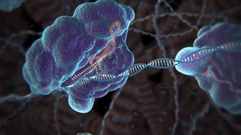 Image result for CRISPR Benefits