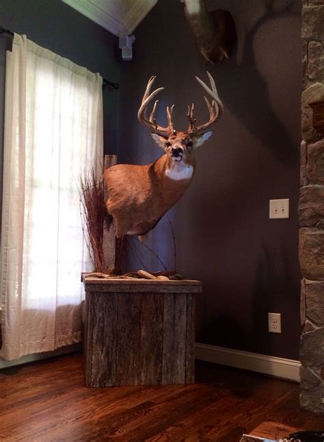 Whitetail deer mount | Hunting decor, Deer decor, Deer mounts