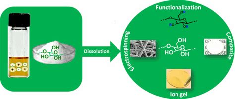 Ionic Liquids and Cellulose: Dissolution, Chemical Modification and ...