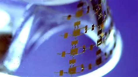 柔性电子 的图像结果