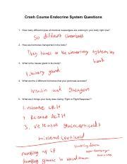 Crash Course Endocrine System 的图像结果