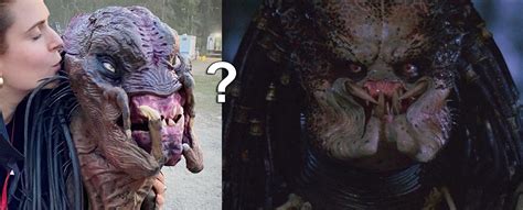 Predator Design 的图像结果