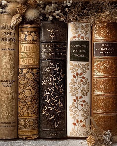 Victorian Literature, Victorian Books, Antique Books, Library Aesthetic ...