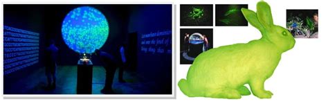 Biotechnology Art Projects 的图像结果