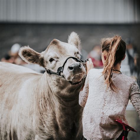 Converse County Fair - Wyoming State Fair