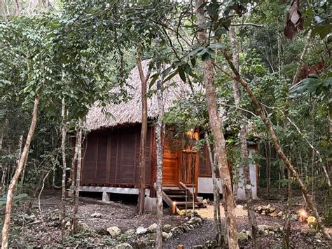 ECOALDEA TANAJ (Conhuas) - Inn Reviews & Photos - Tripadvisor