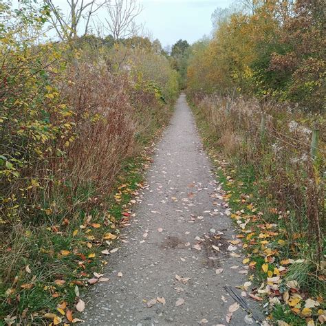 SKELTON LAKE COUNTRY PARK - All You Need to Know BEFORE You Go 2026 ...