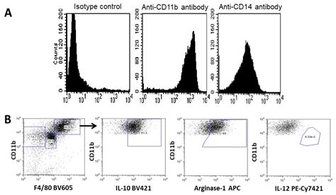 α-Gal Nanoparticles Mediated Homing of Endogenous Stem Cells for Repair ...