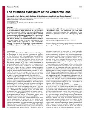 Fillable Online jcs biologists The stratified syncytium of the ...