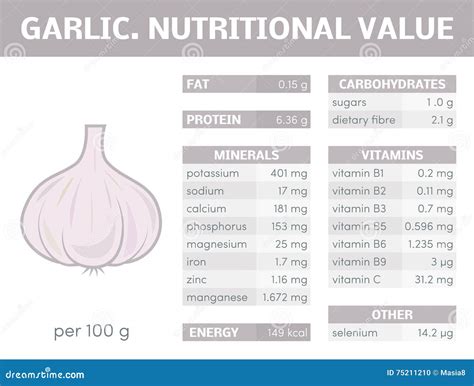 Garlic infographic stock illustration. Illustration of health - 75211210