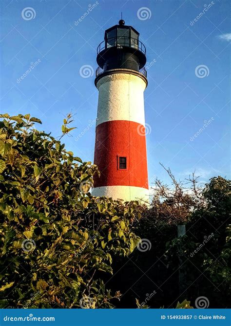 Sankaty Head Light Lighthouse from Behind Bushes, Taken from Nature ...