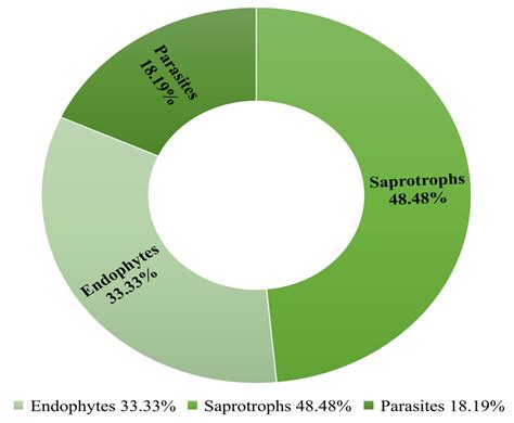 Fungal Associates of the Moss Leucobryum candidum (Brid. ex P. Beauv ...