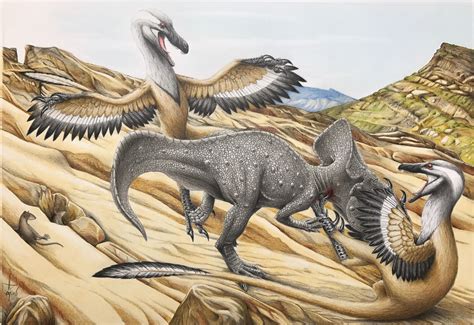 Protoceratops and Velociraptor by RavePaleoArt on DeviantArt