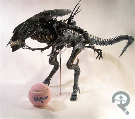 Alien Film Queen 的图像结果