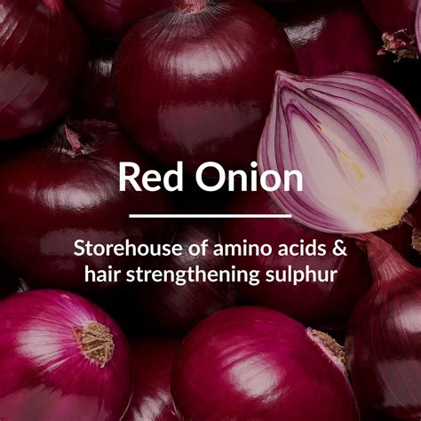 Get Strong, Silky Hair with Red Onion Conditioner - Shop Now For ...