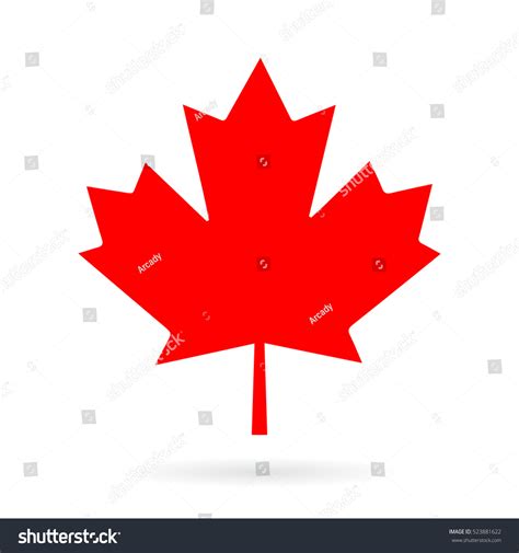 Maple leaf clip art vector