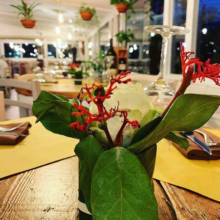 BEPPA FIORAIA, Florence - Menu, Prices & Restaurant Reviews - Tripadvisor