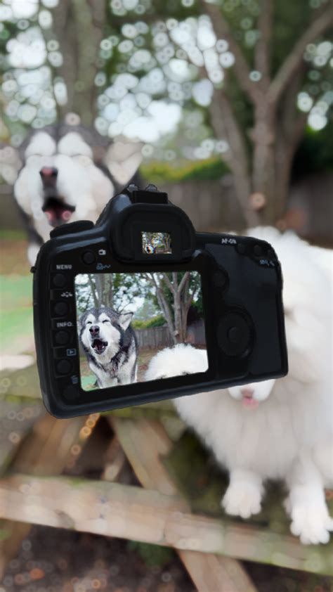 YouTube Shorts Edit - video template by CapCut