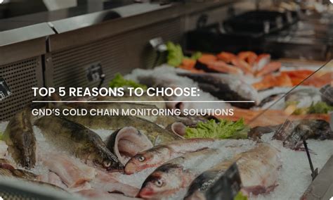 Best IoT and M2M Solutions Provider | GND Solutions — India & Dubai