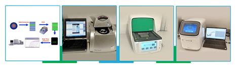 Lifegeno (Decoding Matrix of life)