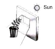 The given figure shows an example of