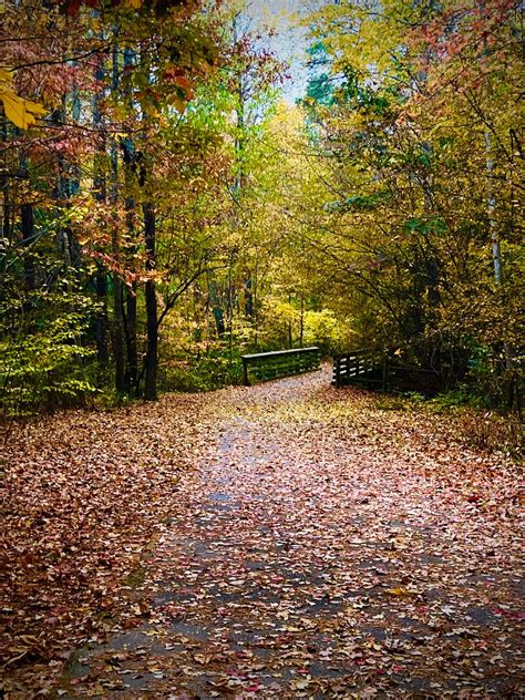 Autumn Trail Portraits DATE ADDED! (Facebook Launch Mini Session ...