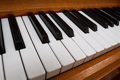 Image result for Piano Roblox Corpse Bride