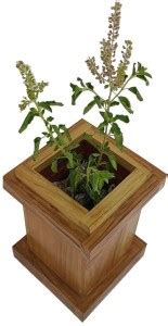 TEAKWOODKART Teakwood's handcrafted Tulsi Vrindavan/ Kayari/ Planter ...