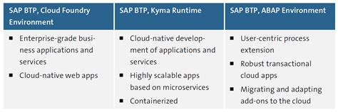 SAP BTP Development 的图像结果