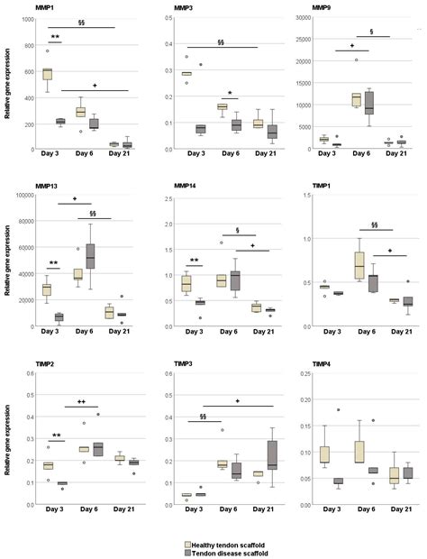 Mesenchymal Stromal Cells Adapt to Chronic Tendon Disease Environment ...
