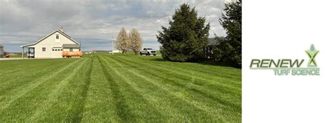 Turf Science 的图像结果