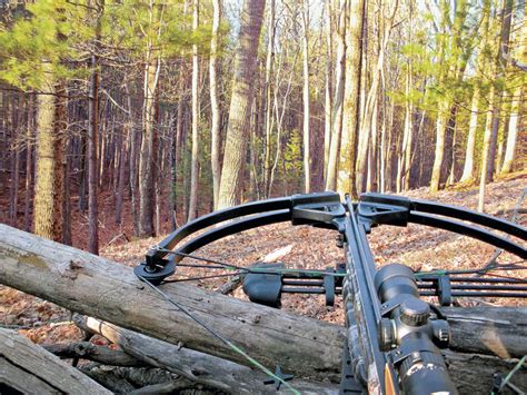 Image result for Crossbow Hunts in WI Using Luminox