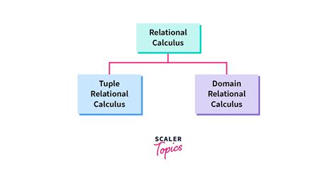 Image result for Relational Calculus Ai Database