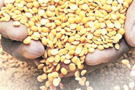 Commodity Live: Why the government's focus on pulses?