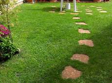 erbetta da giardino tappeto erboso in 3 settimane news primo seed erbetta da giardino tappeto erboso in 3 settimane news primo seed