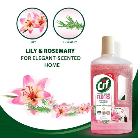 Buy CIF NATURAL ESSENCE FLOOR CLEANER FOR TOUGH STAINS LILY & ROSEMARY ...